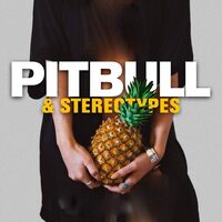 Jungle (feat. E-40 & Abraham Mateo) - Pitbull , Stereotypes , Abraham Mateo , E-40 | Toogoosh