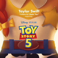 I Knew It, I Knew You - Taylor Swift | Toogoosh