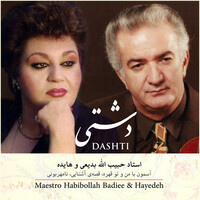 ضربی دشتی - Habibollah Badiee | Toogoosh