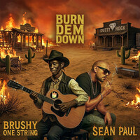 Burn Dem Down - Sean Paul , Brushy One String | Toogoosh