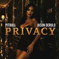 Privacy - Pitbull , Jason Derulo | Toogoosh