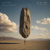 On My Own (Feat. Darla Jade) - Steve Aoki , Reinier Zonneveld , Darla Jade | Toogoosh