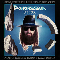 Amnesia - Notre Dame & Harry Kaze Remix - Sébastien Tellier , Kid Cudi , Notre Dame , Harry Kaze | Toogoosh