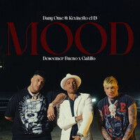 Mood - Dany Ome , Kevincito El 13 , Descemer Bueno , Gatillo | Toogoosh
