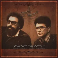 ساز آواز عشق دردل ماند - محمدرضا شجریان | Toogoosh