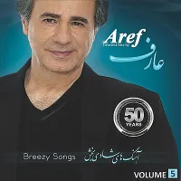 آهنگ همه جا غم از عارف | توگوش Toogoosh