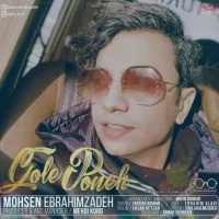 آهنگ گل پونه از محسن ابراهیم زاده | توگوش Toogoosh