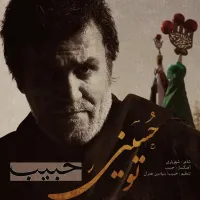 آهنگ تو حسینی از حبیب | توگوش Toogoosh