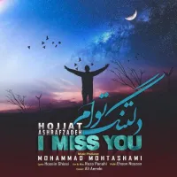 آهنگ دلتنگ توام از حجت اشرف زاده | توگوش Toogoosh