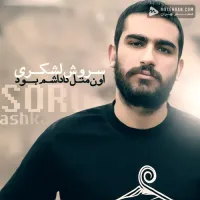 آهنگ اون مثل داداشم بود از هیچکس | توگوش Toogoosh