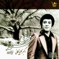 موی سپید - اکبر گلپایگانی | Toogoosh