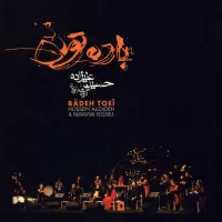 هم نوایان باده تویی - حسین علیزاده , گروه هم آوایان | Toogoosh