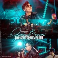 آهنگ زنگ بزنی (اجرای زنده) از محسن ابراهیم زاده | توگوش Toogoosh