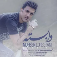 آهنگ وابسته از محسن لرستانی | توگوش Toogoosh