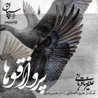 آهنگ پرواز قوها از علیرضا قربانی | توگوش Toogoosh