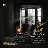 آهنگ هم گناه از علیرضا قربانی | توگوش Toogoosh
