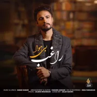 بی هوا - راغب | Toogoosh