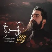 آهنگ گل سرخ از علی زند وکیلی | توگوش Toogoosh
