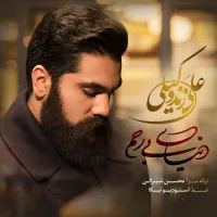 آهنگ دنیای بی رحم از علی زند وکیلی | توگوش Toogoosh