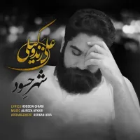 آهنگ شهر حسود از علی زند وکیلی | توگوش Toogoosh