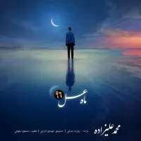 ماه عسل ۹۶ - محمد علیزاده | Toogoosh