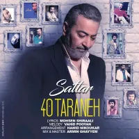 ۴۰ ترانه - ستار | Toogoosh