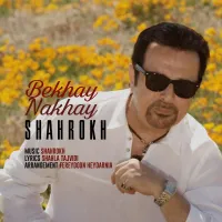 بخوای نخوای - شاهرخ | Toogoosh